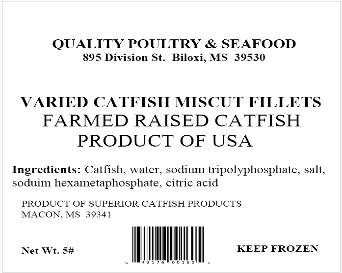 Catfish Miscut Fillets